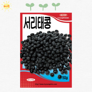 서리태콩 30g 서리태 검정콩씨앗 씨앗 씨 종자, 1개
