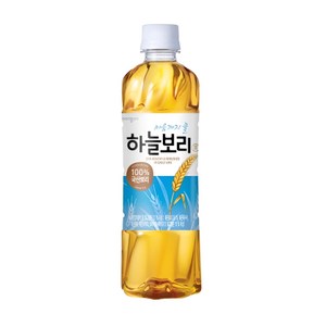 하늘보리 차음료, 500ml, 40개