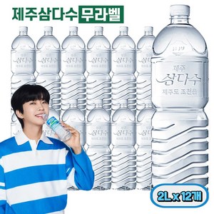 그린 삼다수 무라벨, 12개, 2L