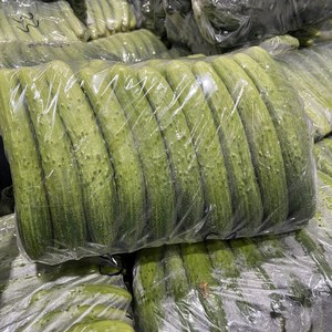 [대박농수산] 국내산 싱싱한 오이지 오이 50개내외 오이소박이 백다다기 백오이, 오이지용 오이 50개내외, 1박스