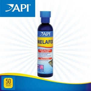 API 멜라픽스 237ml, 1개