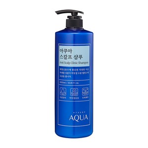 히솝 아쿠아 스칼프 샴푸 시트러스 플로랄 스위트향, 1000ml, 1개