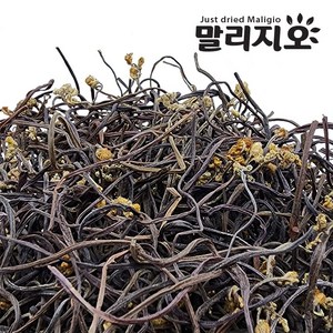 말리지오 고사리 보통 상급, 1개, 500g(상급)