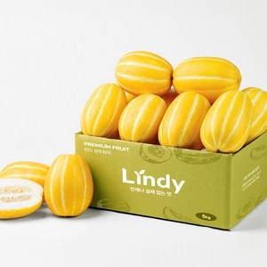 린디 고당도 성주참외, 1박스, 고당도 참외=가정용, 중량=2kg(5~8입)