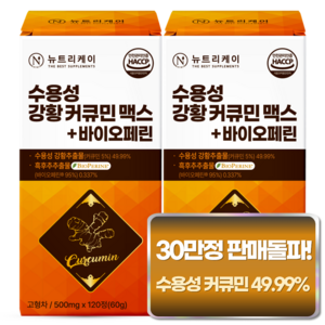 [4개월분] 뉴트리케이 강황 수용성 커큐민 1000 맥스 바이오페린, 120정, 2박스