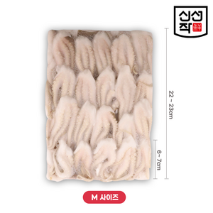 절단 쭈꾸미 [ M / L ] 5.4kg (900g x 6p), 절단쭈꾸미 [ M ], 1박스