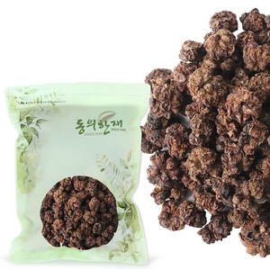 동의한재 국산 개다래 열매 충영 목천료 100g, 1개