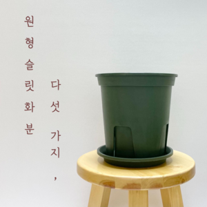 [풀떼기] 원형 슬릿 화분, 1. 미니, 1개