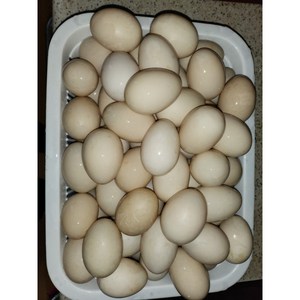기러기알1판30개, 30구, 1개