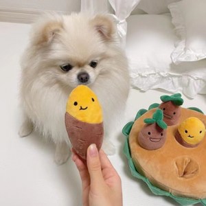 해피펀 강아지당근밭 노즈워크 당근밭노즈워크 강아지놀이기구, 1개, 혼합색상