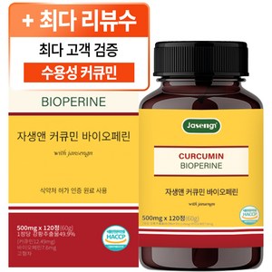 자생앤 커큐민 바이오페린, 120정, 1개
