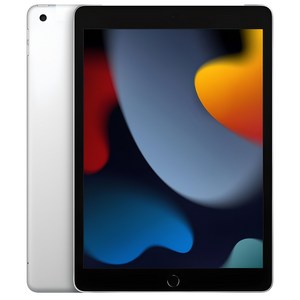 Apple 아이패드 10.2 2021년 9세대, 실버, 64GB, Wi-Fi+Cellular