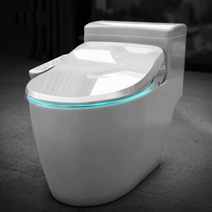 앤트 비데 최신형 IPX8 방수 직수 안심세척 하이브리드 필터필요없는 IPX-750A