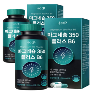 글루콘산 산화 마그네슘 350mg 유기산 마그네슘 영양제 추천, 90정, 1개