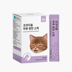 코코다움 고양이 하루 편안 스틱 영양제, 호흡기/기관지, 1개