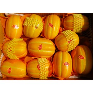 [산지 직송] 당도선별보장 최상급 프리미엄 아삭달달 성주 참외, 1개, 가정용 5kg (10-35과)