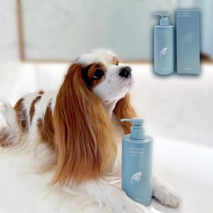 강아지 샴푸 저자극 천연 세정 얼굴 발 비듬 각질 습진 볼륨 아이오콤마 PDRN, 1개, 290ml