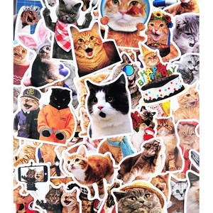 코요아칸 고양이 스티커 세트 강아지 애완동물 반려묘 굿즈, 01. 고양이 A형(49장)
