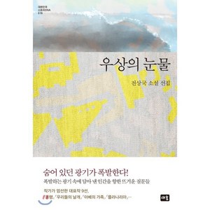 우상의 눈물:전상국 소설 선집, 새움, 전상국