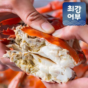 태안 신진도 활꽃게 산지직송 제철음식 가을꽃게 꽃개, 1박스, 2kg(6-10미)