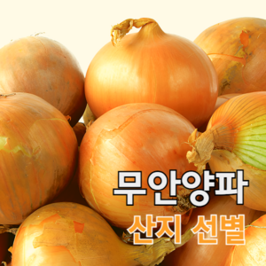 국내산 최상도 산지선별 단단한 무안 햇양파 3kg 5kg 무안양파 양파무안 양파 산지출하, 1세트, 3kg 소