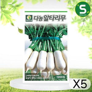 다농알타리무 씨앗 1200립 육질 연함 근비대 빠름, 5개