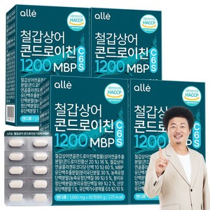 철갑상어 연골 콘드로이친 1200 MBP 식약청 HACCP 알레, 60정, 4개