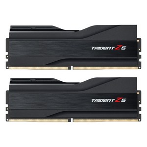 G.SKILL DDR5-6000 CL30 TRIDENT Z5 J 패키지 (64GB(32Gx2)), 단품, 2개