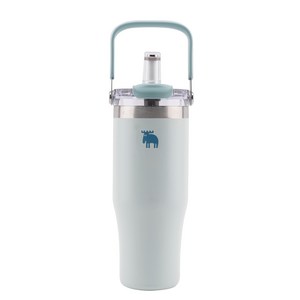 MOZ 모즈스웨덴 포스코 316 스텐 포터블 휴대용 대용량 텀블러, 900ml, 베이비민트, 1개