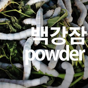 백강잠가루 누에분말, 100g, 1개, 1개입