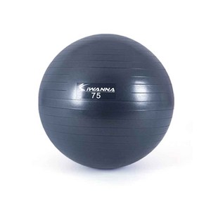 IW 안티버스트 다이어트 짐볼 무드인디고 75cm