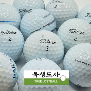 가성비 타이틀리스트로스트볼 30구 PROV1 PROV1X 목생도사로스트볼, 1세트, 30개입, A-급 PROV1