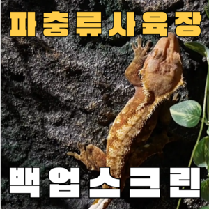 주스터디 극사실 파충류 크레편해 백업스크린, 이끼암석형, 1개