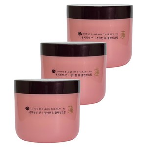3개)과일나라 본체청정 연 청아한 유 클렌징크림300g, 3개, 300g