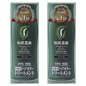리시리 흰머리용 헤어 컬러 트리트먼트, 블랙, 2개