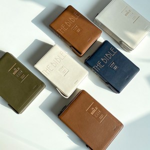 153성경몰 미니 큰글씨 성경책 ( 개역개정 새찬송가 해설 지퍼 ), [중]아이보리