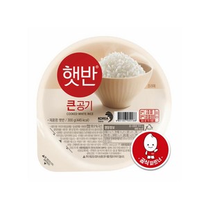 햇반 큰공기, 300g, 16개