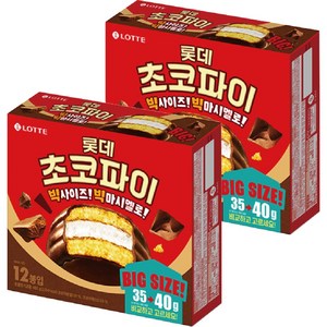 롯데웰푸드 초코파이 12p, 480g, 2개