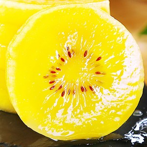 [한정수량] 꿀bix 프리미엄 제스프리 골드키위, 1박스, 특대과 10개입 1.3kg
