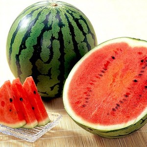 [한정수량특가] 극bix 고당도 못난이 수박, 1개, 7kg