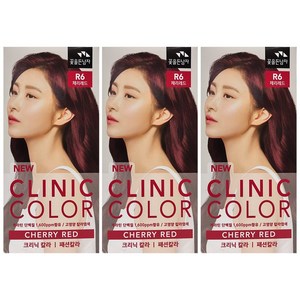 꽃을든남자 뉴 크리닉 칼라 R6 체리레드, 3개