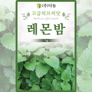 다농 레몬밤 씨앗 1g 레몬밤 꽃씨 허브 종자, 1개