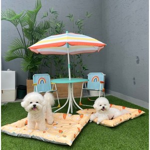 당근 쿨매트 강아지 고양이 애견 매트 여름 쿨방석 야외 산책, XL