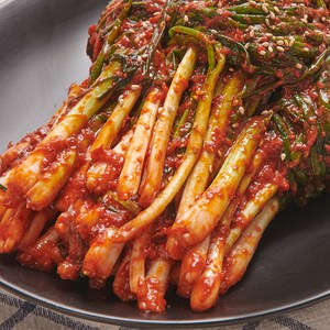 전라도파김치 쪽파 매운파김치 국내산 맛집 당일제조 1.5kg, 1개