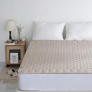 보국전자 에어셀 탄소열선 EMF인증 워셔블 안심 전기요 BKB-1625S