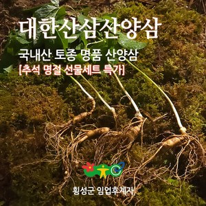 대한 산삼 산양삼 6년근 파삼 장기복용 최고의 약효, 1개, 200g