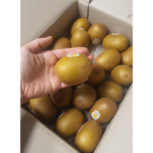 [최고품질] 프리미엄 제스프리 그린키위 골드키위 2kg 3kg 5kg 10kg 대과 특대과 점보 신선한 특품 최상급, 1박스, 골드키위 점보5kg