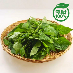 [국내산100%] 신선하고 진한맛 생 취나물 (특), 1개, 2kg