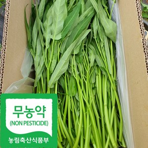 국내산 친환경 공심채 모닝글로리, 1박스, 1kg