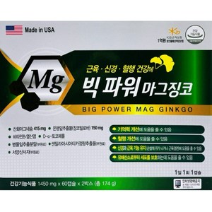 빅파워 마그징코 120캡슐 4개월분 혈액순환 기억력 개선 120정 2개, 60정